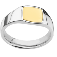 Small Cushion signet ring (10x10mm) in 14K White Gold, with a Wide style band, a 14K Yellow Gold inlay.