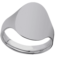 Large Oval signet ring (20x16mm) in Titanium, with a Cigar style band.