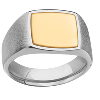 Medium Cushion signet ring (14x14mm) in Titanium, with a Wide style band, a 14K Yellow Gold inlay.