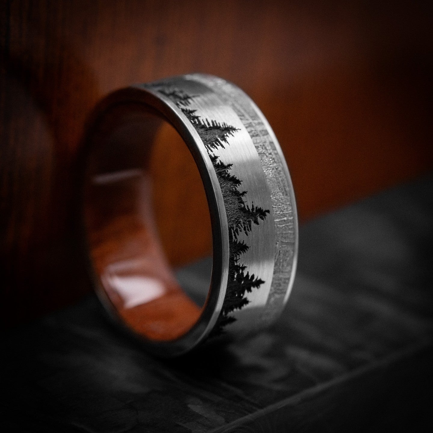 Titanium Ring with Meteorite Inlay, Pine Tree Pattern, and Wood Sleeve