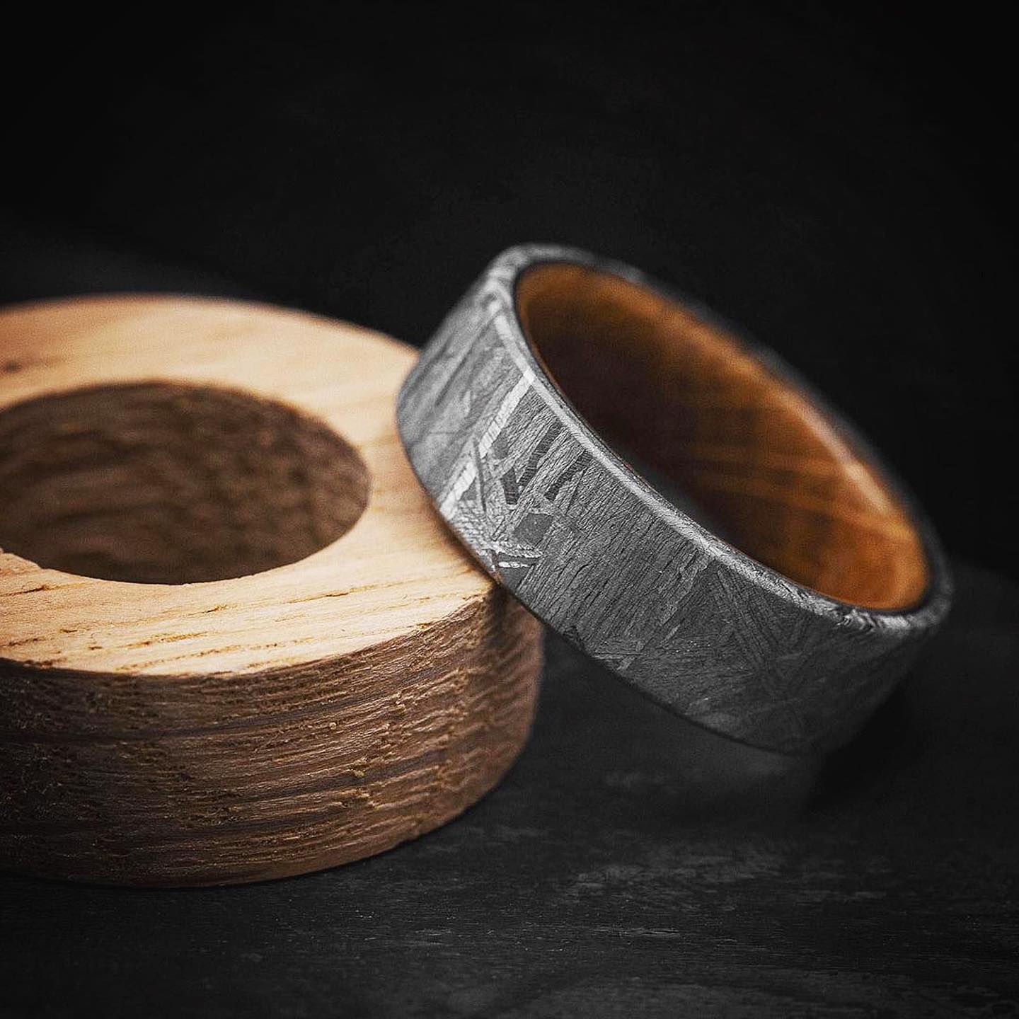 Meteorite Men's Ring with a Wood Sleeve