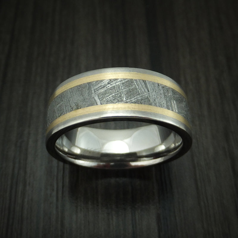 Titanium and Meteorite Ring with 14K Gold Custom Made